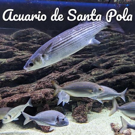 Best Holiday Santa Pola Exterior photo